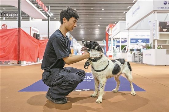 警犬从特警车伸出小脑瓜盯梢